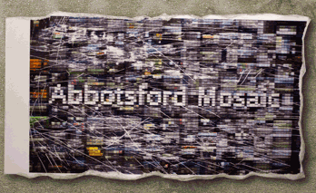 Link to the Abbotsford Mosaic Cummunity Photography Project